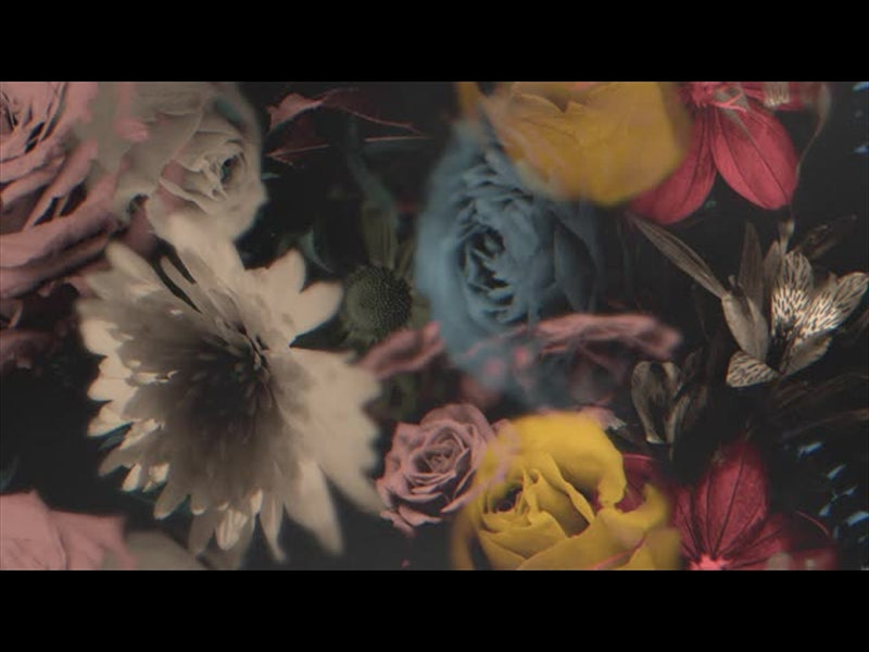 Deep Beauty Loop 02