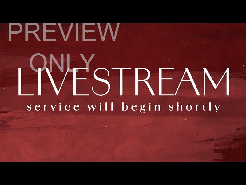 Tannenbaum Livestream Still