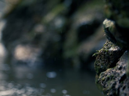 Moss Rocks Side
