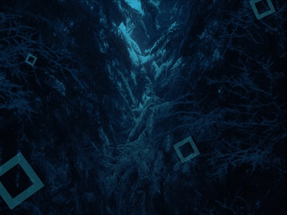 Secret Forest Blue Squares