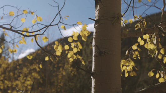 Mountain Hike 10 Still