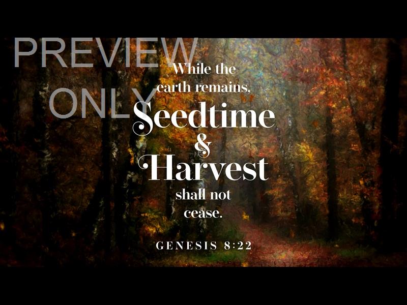 Autumn Vibes Title Graphic 5