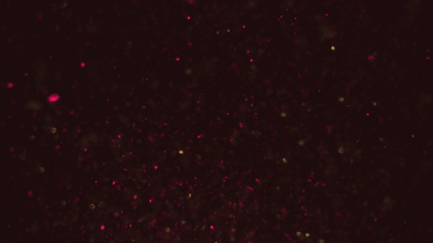 Christmas Glitter 14 Still