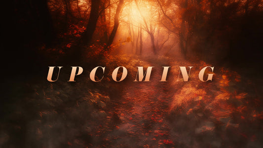 Autumn Path Upcoming Still