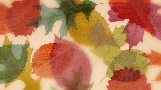 Layers Of Leaves Loop 01
