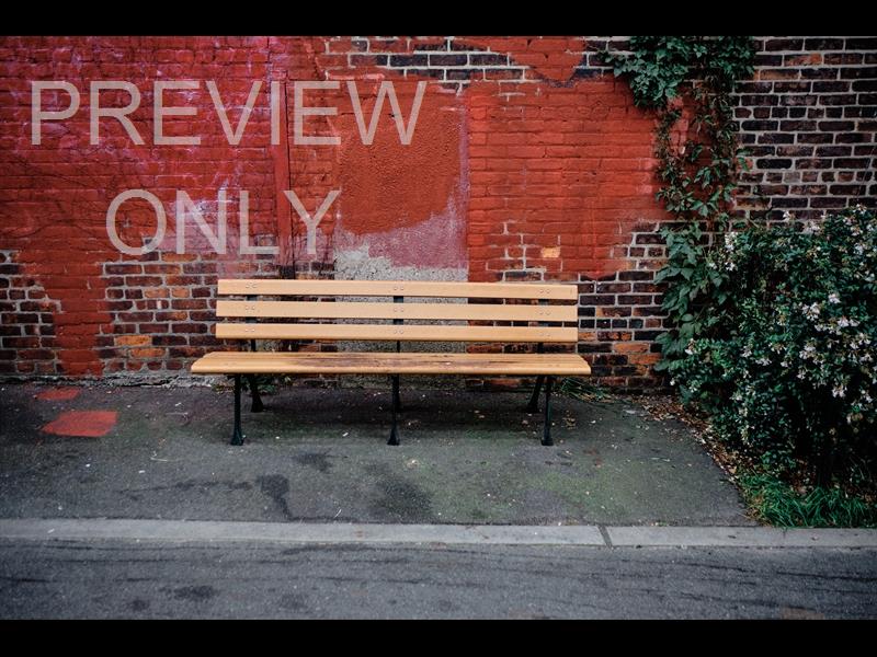 City Bench