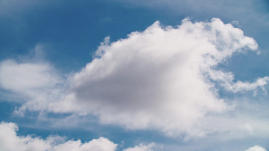 Spring Nature Motion 03