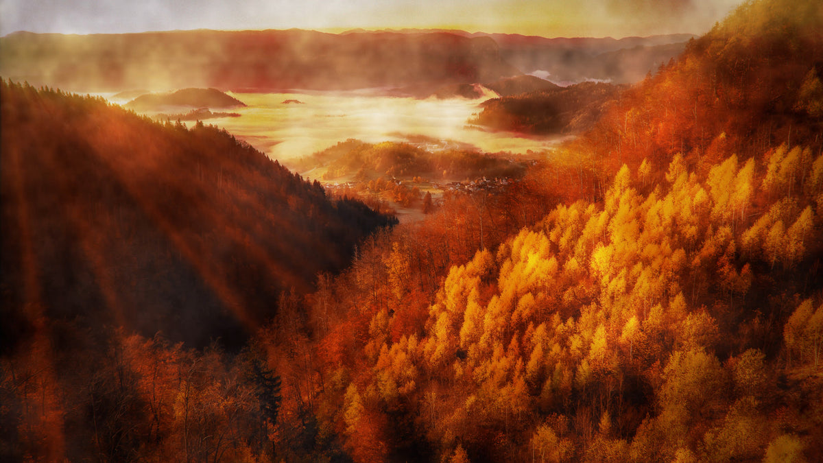 Thanksgiving Light 03