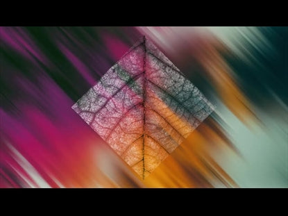 In The Fall 3