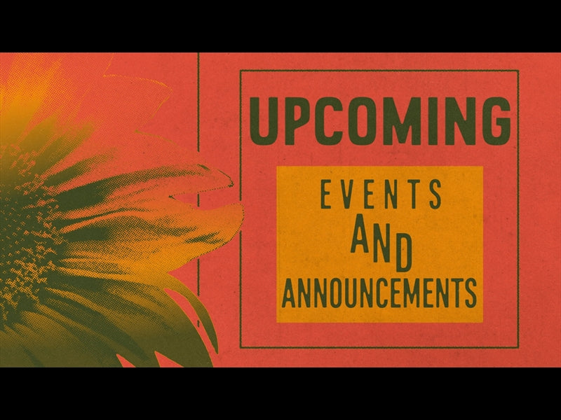 Great And Small Upcoming