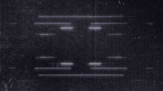 Digital Dust 14