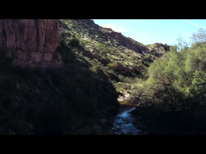 Arboretum Creek
