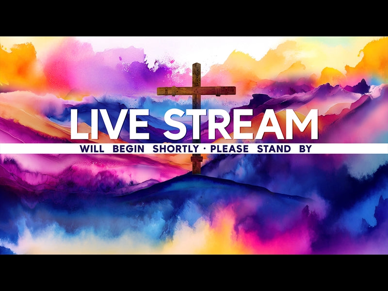 Easter Color Live Stream
