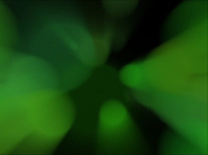 Whirl Loop Green