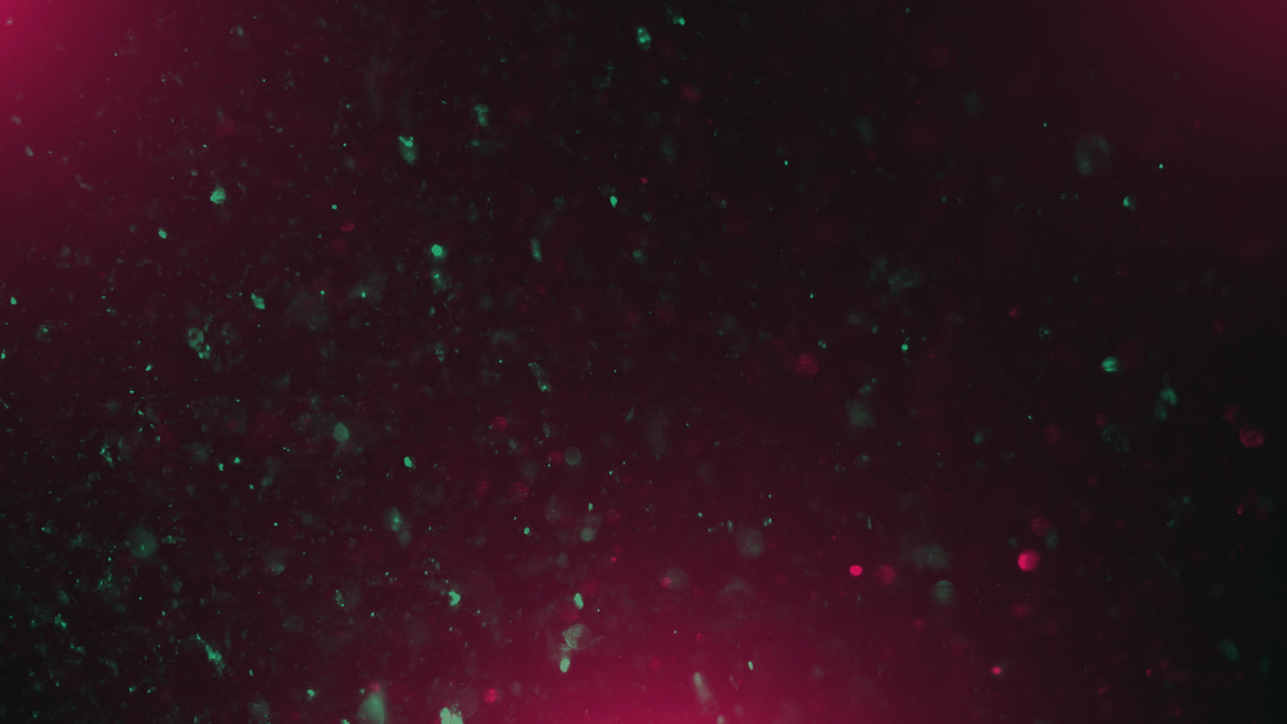 Christmas Glitter 01 Still