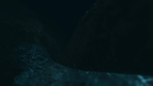 Newness Tide
