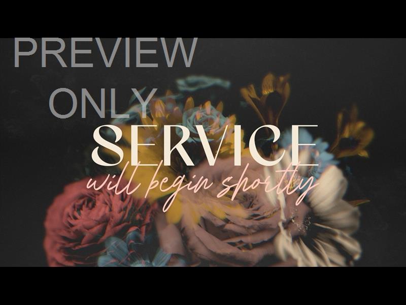 Deep Beauty Service Still