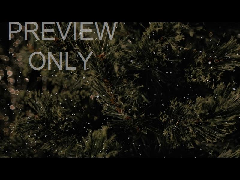 Christmas Tree 7 Still