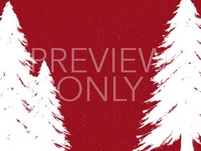 Winter Spruce 1 Still