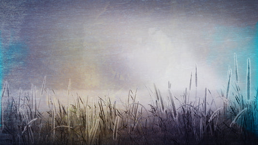 Rising Songs 1 Still