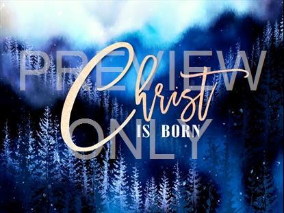 Christmas Woods Christ Is Born Still