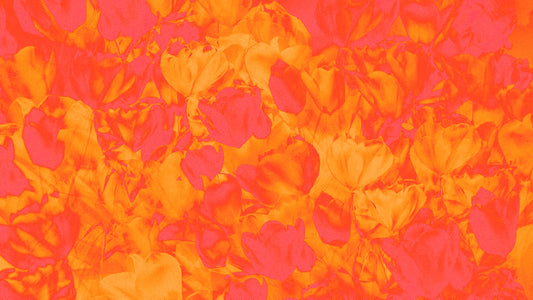 Hyper Bloom 10 Still