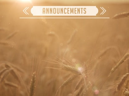 Summer Wheat Announcements