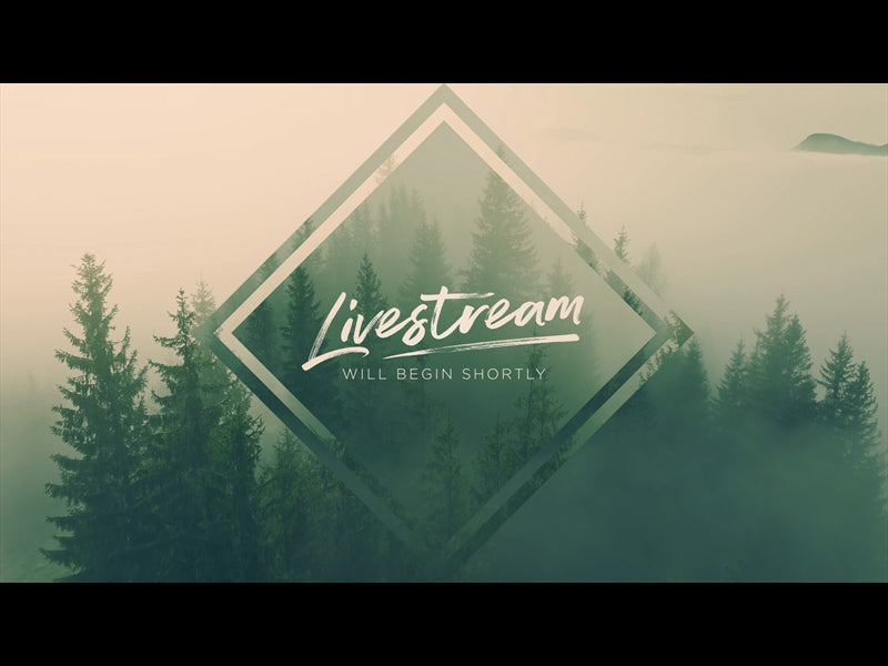 Misty Pines Livestream