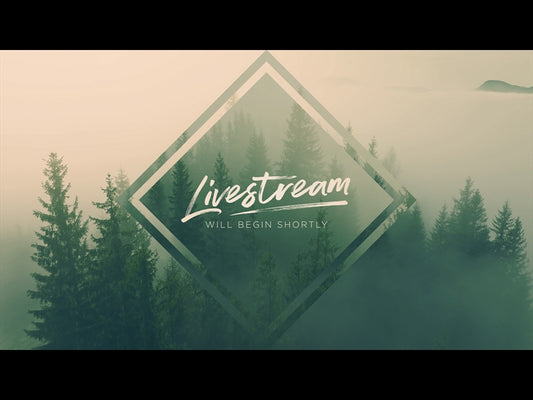 Misty Pines Livestream