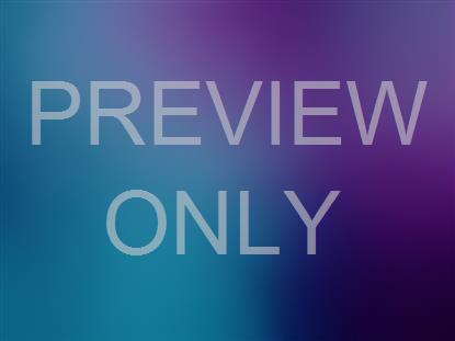 Misty Colors 4 Still