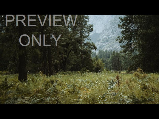 Yosemite Meadows Still - 10
