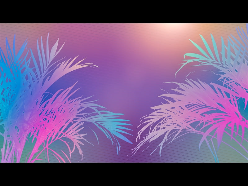 Sun Palms 12