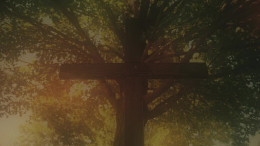 Cross 10 Alt Still