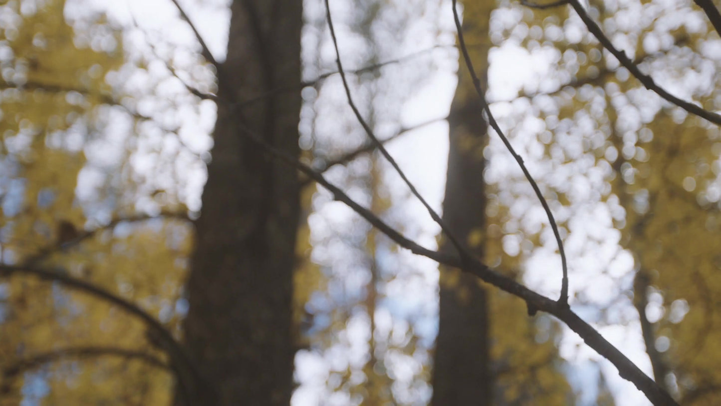 Mountain Hike 07 Still