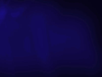 Soft Swirls 2 Navy