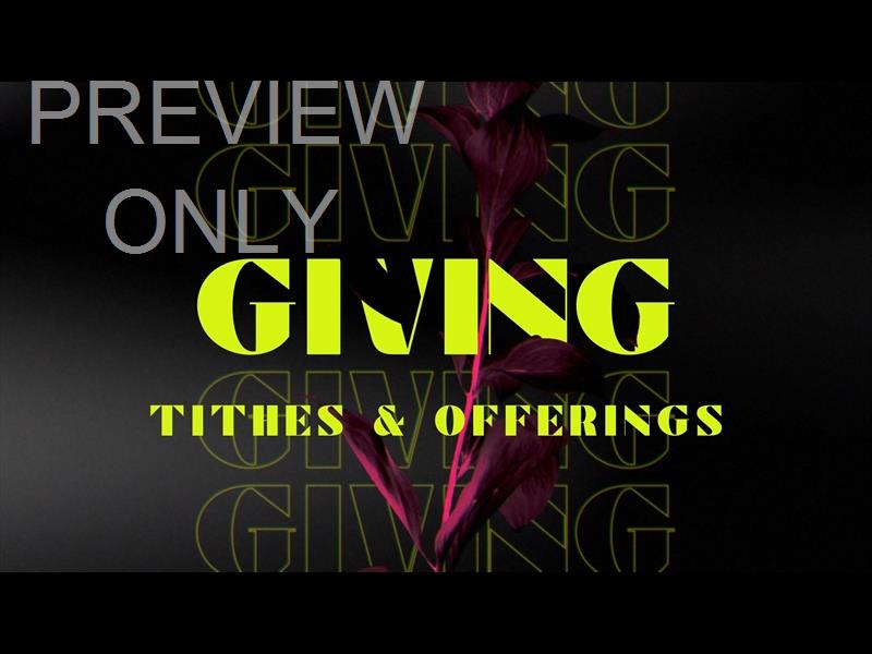 Neon Natro Giving Still