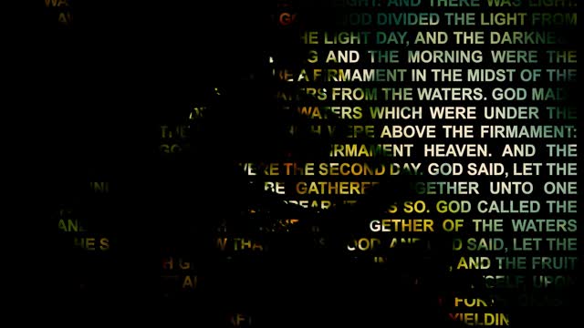 In The Beginning 2a