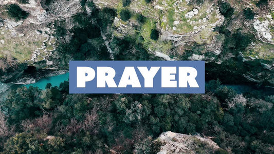 Spring In Osumi Prayer Still