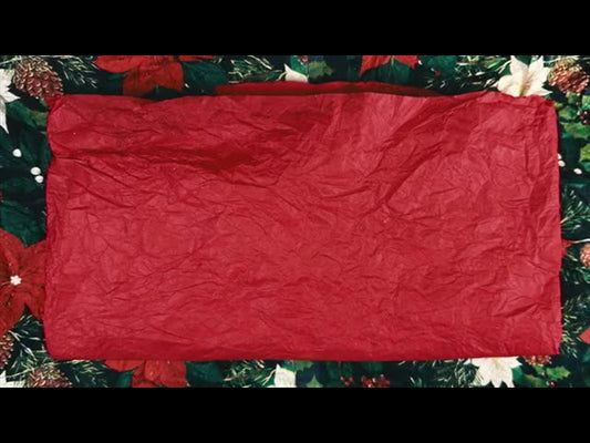 Christmas Stop Motion Dust 3