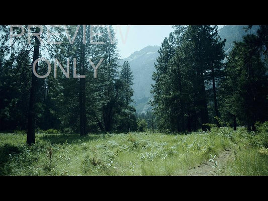 Yosemite Meadows Still - 16