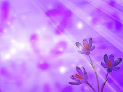 Lavender Mother's Day