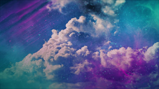 Vivid  4 Still