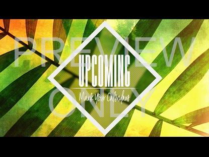 Palm Sunday Upcoming Graphic