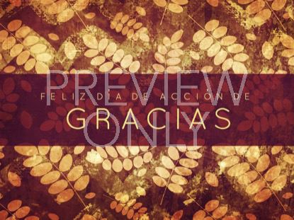 Thanksgiving Gratitude Holiday 1 Still -