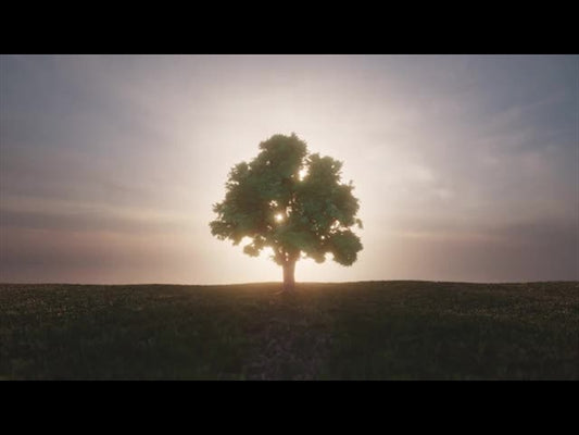 His Plan Is Perfect: Tree