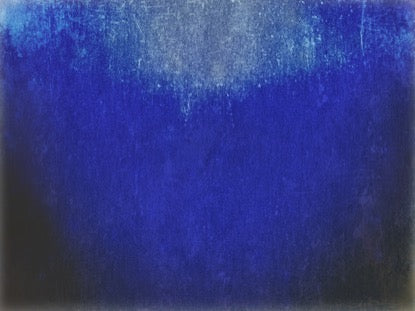 Mothers Day Tulips 5 Motion