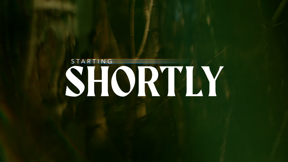 Like A Tree Still Starting Soon