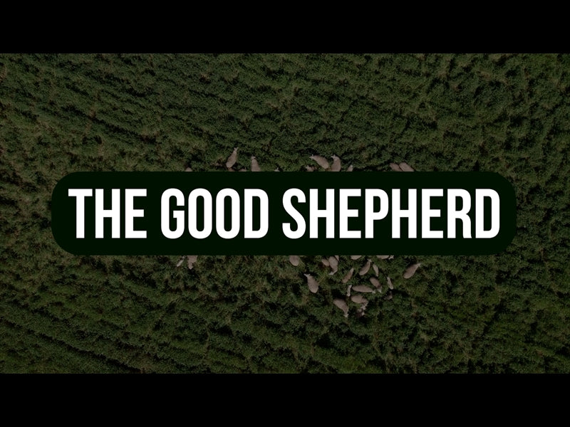 The Good Shepherd