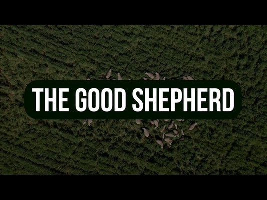 The Good Shepherd