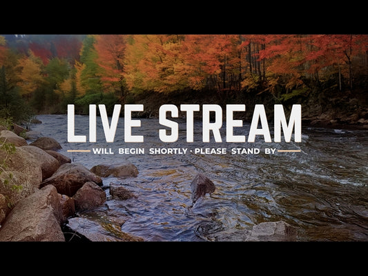 Northwest Fall Live Stream